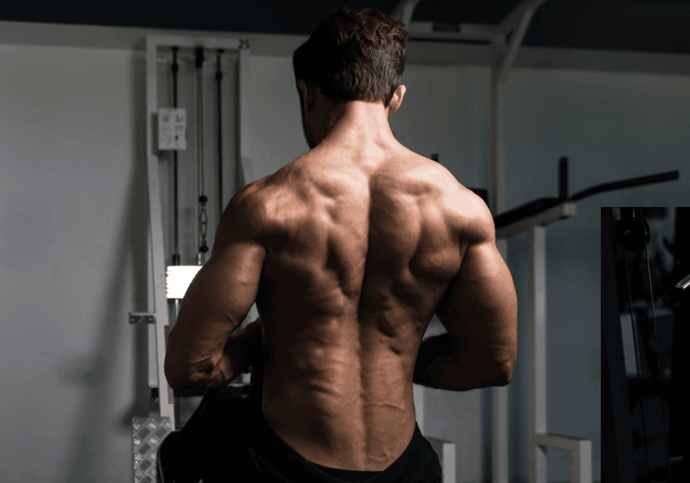 Ripletic website image